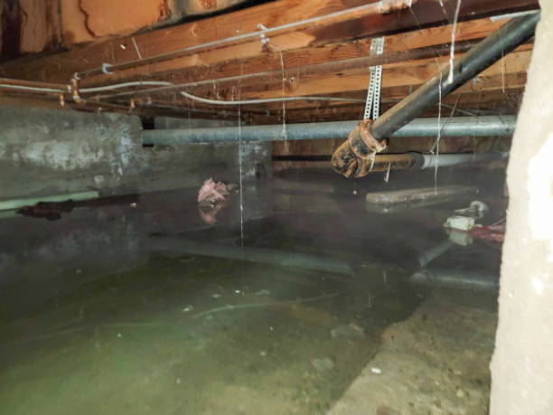 Best Commercial water damage restoration  in USA